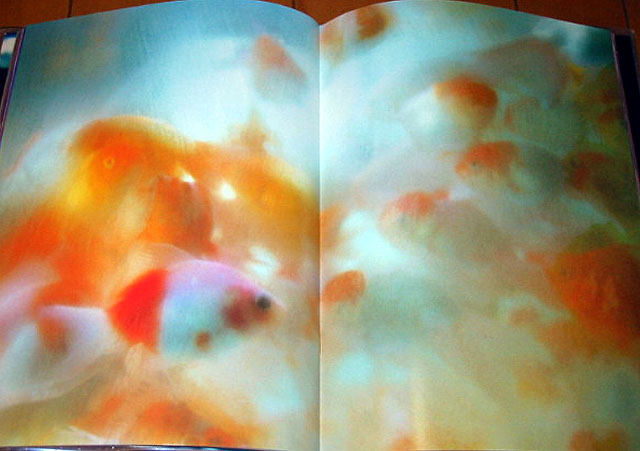 ... Photo collections LIQUID DR...