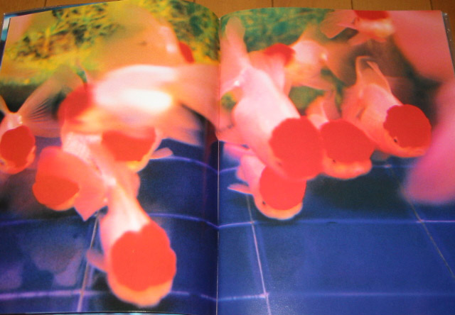 Mika Ninagawa