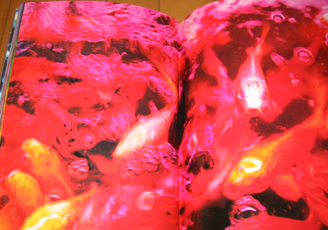 ... Photo collections LIQUID DREAMS Japan Photographer film director
